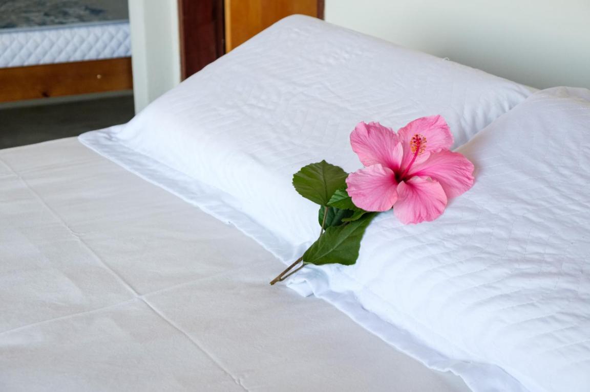 Haleiwa Chales E Suites - A Guest House Do Prumirim Убатуба Екстериор снимка